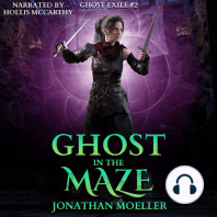 Ghost in the Maze