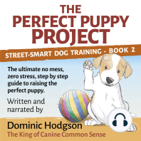 The Perfect Puppy Project