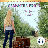 The Amish Meddler
