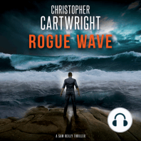 Rogue Wave