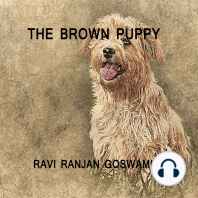 The Brown Puppy