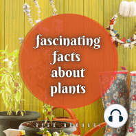 Fascinating Facts About Plants