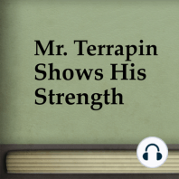 Mr. Terrapin Shows His Strength