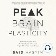 Peak Brain Plasticity