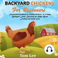 Backyard Chickens For Beginners