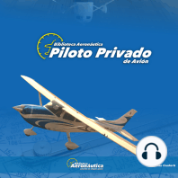 Piloto privado de avión