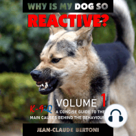 Why Is My Dog So Reactive, Volume 1: A Concise Guide To The Main Causes Behind The Behaviour