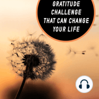 The 7-Day Gratitude Challenge