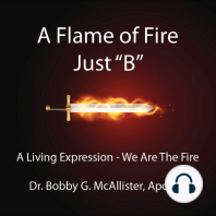 A Flame of Fire Just "B"
