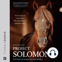 Project Solomon: The True Story of a Lonely Horse Who Found a Home--and Became a Hero