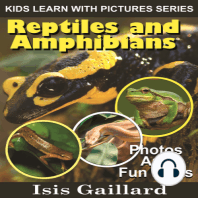 Reptiles and Amphibians