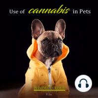Use of cannabis in pets
