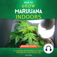 How to Grow Marijuana Indoors