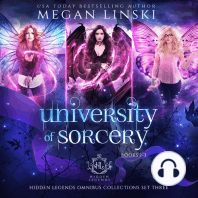 University of Sorcery, Books 1-3