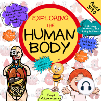 Exploring the Human Body with Smartie bee