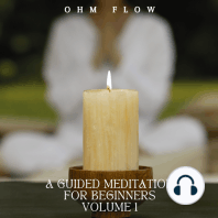 A Guided Meditation for Beginners - Volume 1