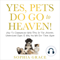 Yes, Pets Do Go To Heaven!