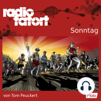 ARD Radio Tatort, Sonntag - Radio Tatort rbb