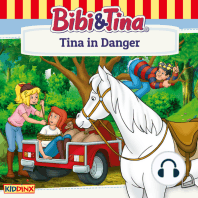 Bibi and Tina, Tina in Danger