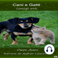 Cani E Gatti: Consigli Utili