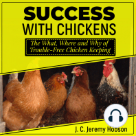 Success with Chickens