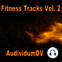 Fitness Tracks, Vol. 2