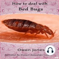 How To Deal With Bed Bugs