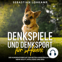 Denkspiele und Denksport für Hunde