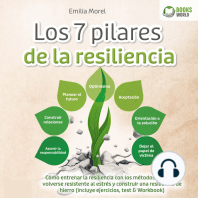 Los 7 pilares de la resiliencia