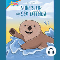 Surf's Up for Sea Otters / All About Otters