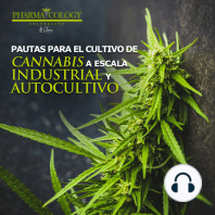 Pautas para el cultivo de cannabis a escala industrial y autocultivo