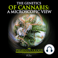 The genetics of cannabis