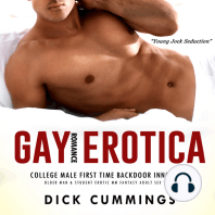 Gay Romance Erotica