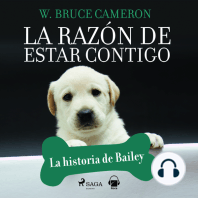 La razón de estar contigo. La historia de Bailey