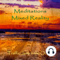 Traffic Jams in the Ocean - Meditations Mixed Reality