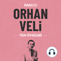 Orhan Veli - Tüm Öyküleri