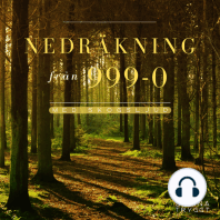 Nedräkning från 999-0: Skogsljud