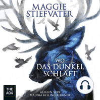 Wo das Dunkel schläft