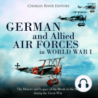 German and Allied Air Forces in World War I