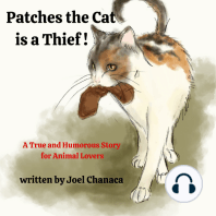 Patches the Cat is a Thief !