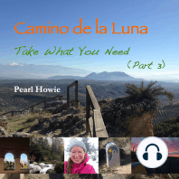 Camino de la Luna - Take What You Need (Part 3)