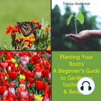 Planting Your Roots