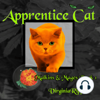 Apprentice Cat