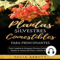 PLANTAS SILVESTRES COMESTIBLES PARA PRINCIPIANTES