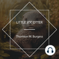 Little Joe Otter