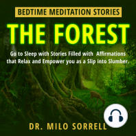 Bedtime Meditation Stories - The Forest