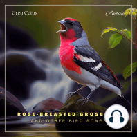 Rose-breasted Grosbeak and Other Bird Songs