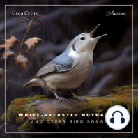 White-breasted Nuthatch and Other Bird Songs