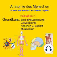 Anatomie des Menschen Teil 1