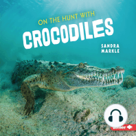 On the Hunt with Crocodiles